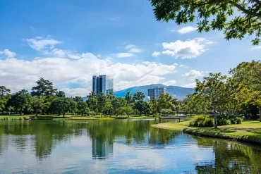 A Local Guide to La Sabana Park in San José
